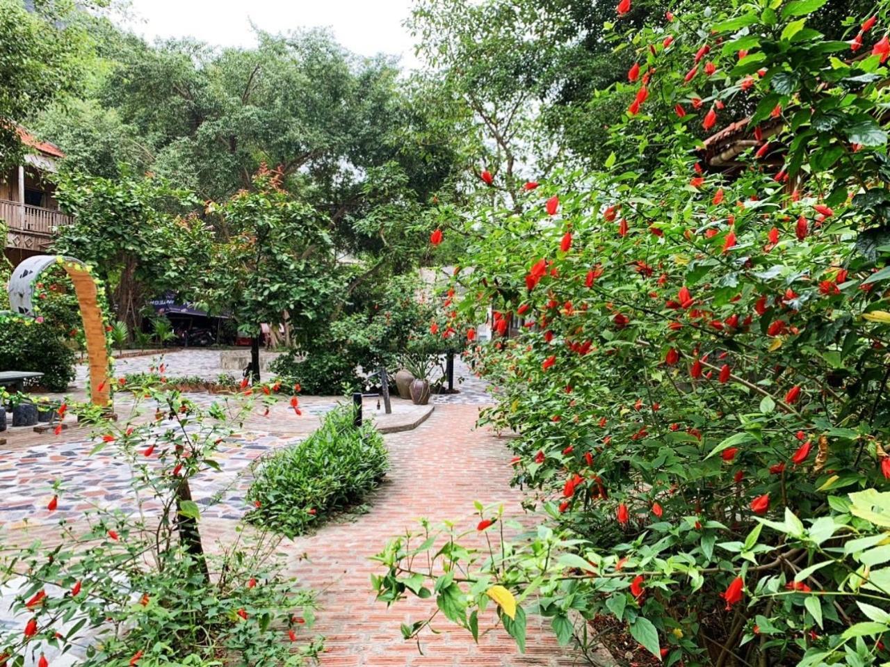 Xuan Son Trang An Lim Garden酒店 外观 照片